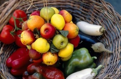 What is Paleo Diet?